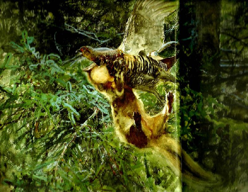 bruno liljefors barrskog med skogsmard anfallande en orrhona oil painting image
